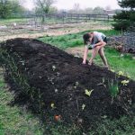 How to Build a Hugelkultur Bed: A Sustainable Gardening Masterpiece
