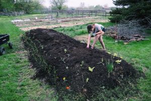 Step-by-step guide to building a hugelkultur garden bed using logs, branches, and compost for sustainable gardening